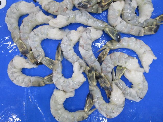 RAW PEELED AND DEVEINED TAILON BLACK TIGER SHRIMP