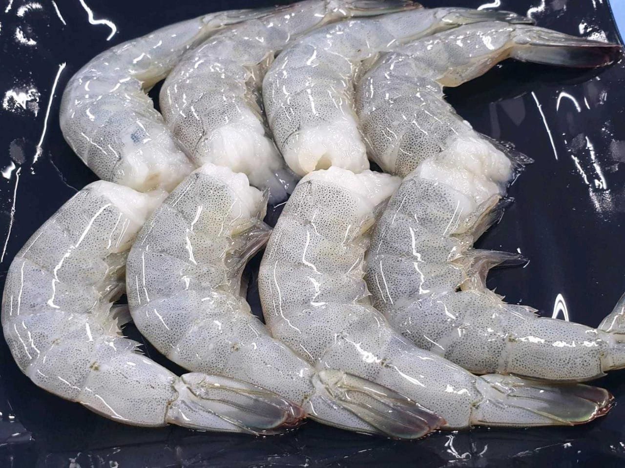 RAW HEADLESS SHELLON VANNAMEI SHRIMP