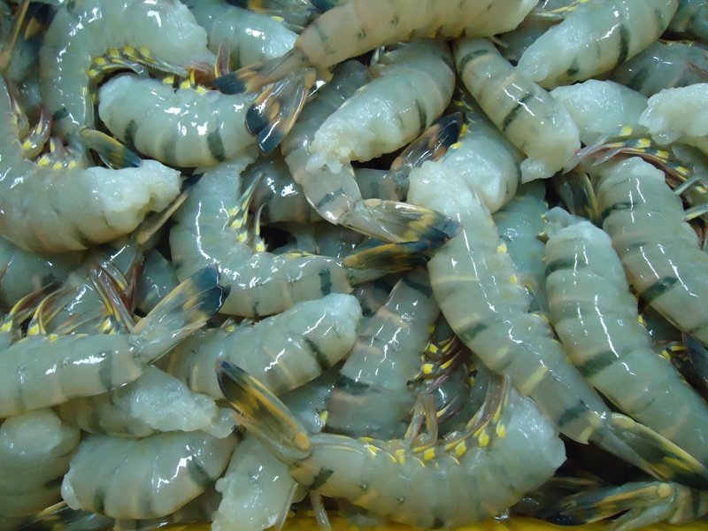 "HEADLESS SHELL-ON" BLACK TIGER SHRIMP